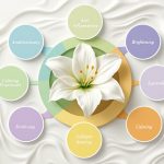 How does White Lilly benefit the skin